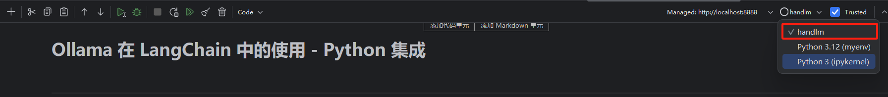 Jupyter Kernel 选择